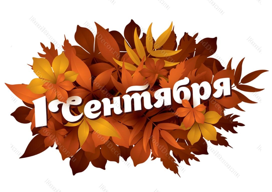 Печать "1 сентября" на A4 (21 х 29.7 см) от кондитерского магазина ФудДекор https://fooddecor.ru
